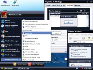Royale -ID- wmp11 par Invasiondivine